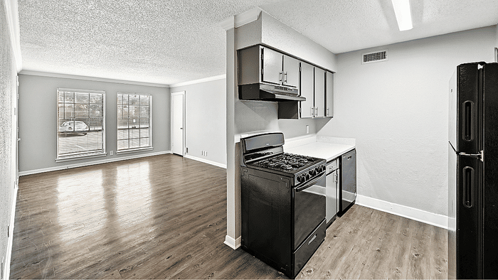 Modern apartment with stylish open-concept kitchen and bright living area, featuring sleek appliances and hardwood floors.