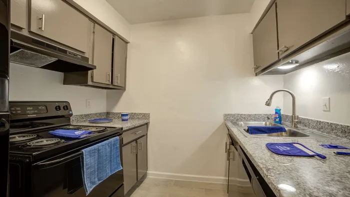 Modern kitchen with sleek granite countertops, stainless steel sink, and elegant cabinetry, creating a stylish and functional cooking space.