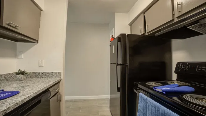 Modern kitchen with sleek black appliances, granite countertops, and stylish cabinetry.
