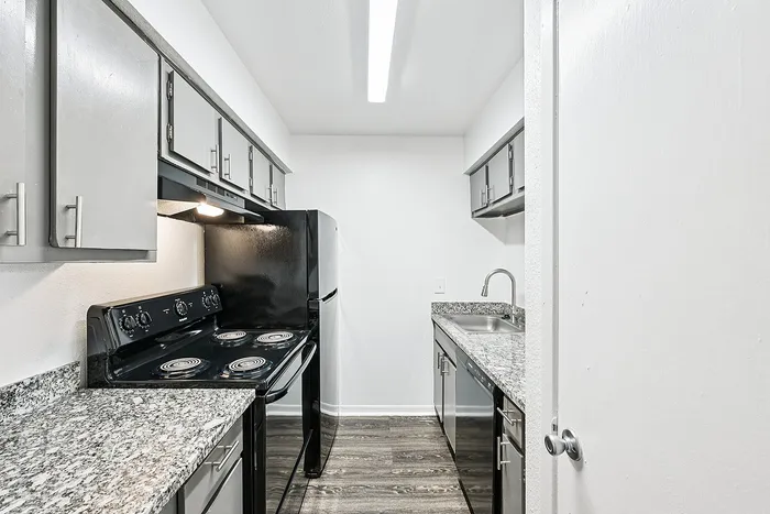 Modern kitchen with sleek granite countertops, stainless steel appliances, and elegant cabinetry.