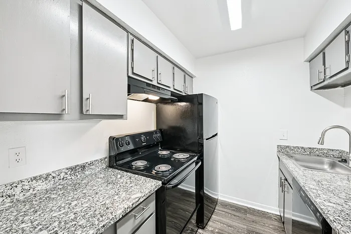 Contemporary kitchen with sleek black appliances, granite countertops, and modern cabinetry.