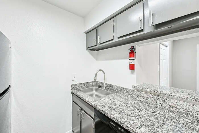 Modern kitchen with sleek granite countertops, stainless steel sink, and stylish cabinetry for a contemporary look.