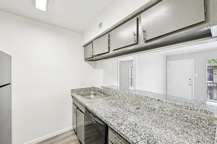 Contemporary kitchen with sleek granite countertops, modern stainless steel dishwasher, and seamless flow to living area.