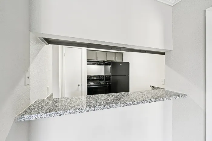 Modern kitchen with sleek granite countertops and stainless steel appliances, perfect for stylish living.
