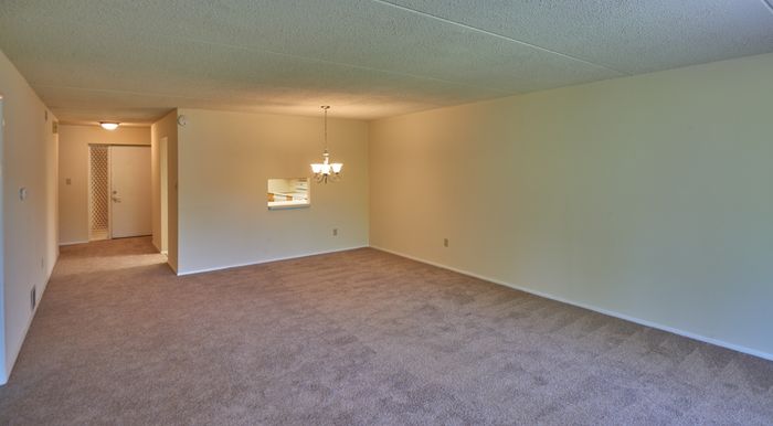 1 Bedroom Family Room