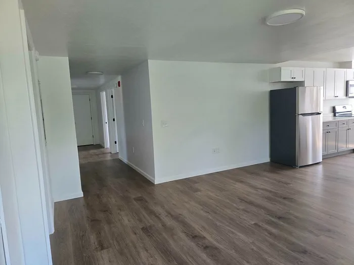 Sleek and modern apartment interior with elegant wood flooring, spacious hallway, and contemporary kitchen featuring stainless steel appliances.