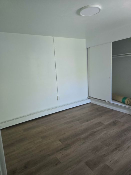 Bright room with sleek wooden flooring and ample closet space, perfect for a cozy living area.