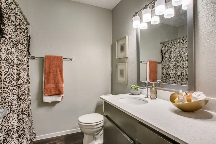 B1 - 2BD, 1BA - 930SF - Bathroom