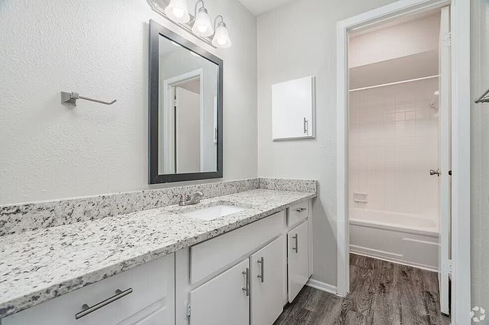 C2 - 2BD, 2BA - 1350SF - Guest Bathroom