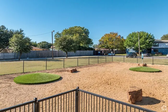 Dog Park