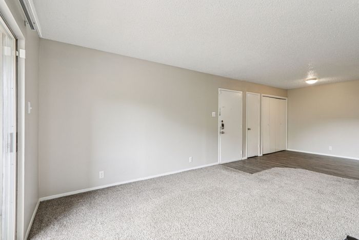 A1 - 1BD, 1BA - 707SF - Living/Dining Room