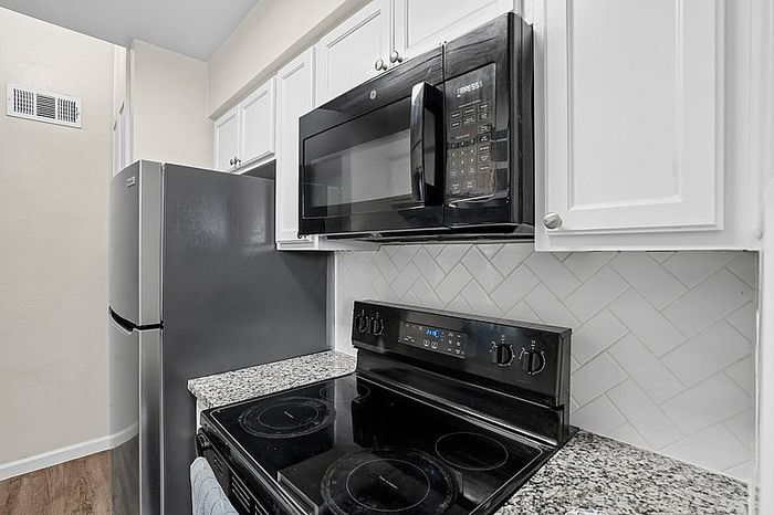 A1 - 1BD, 1BA - 650SF - Kitchen