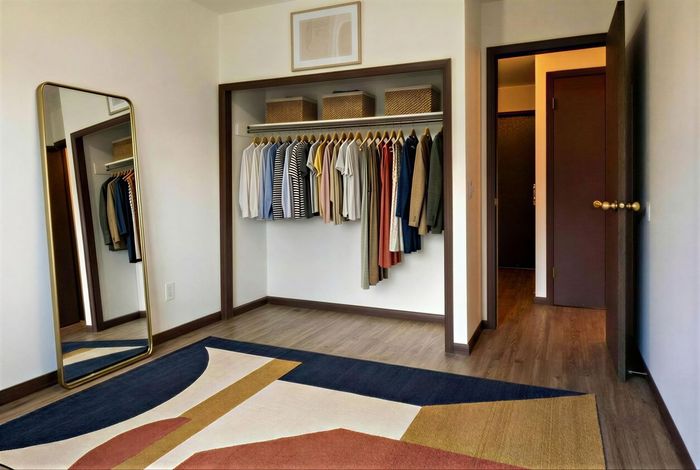 Inviting walk-in closet featuring organized clothing racks, stylish full-length mirror, and modern decor with a vibrant geometric rug.