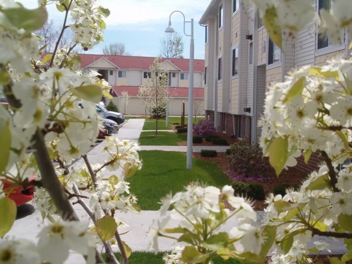 Landscaping - trees in bloom at Liv Wildwood apartments in Ludington, Michigan.