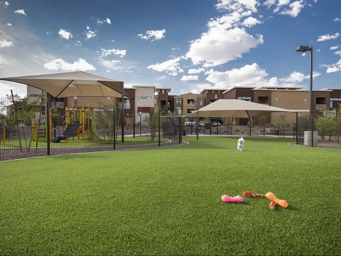 Bark Park