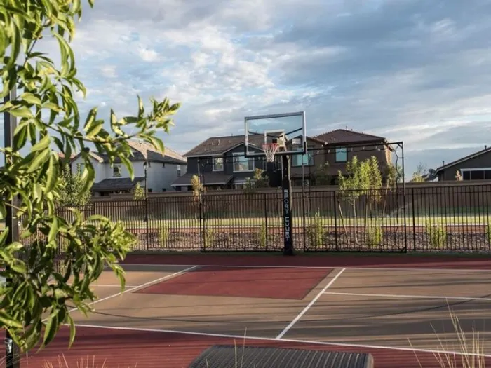 Basketball Court  | Liv Northgate Apartments in Gilbert, AZ