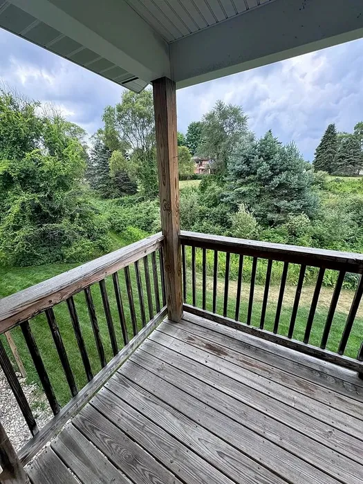 Wooded view