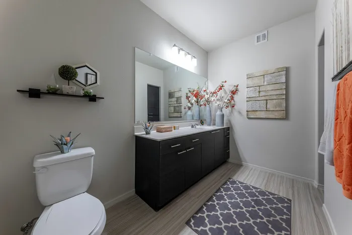 Model Bathroom