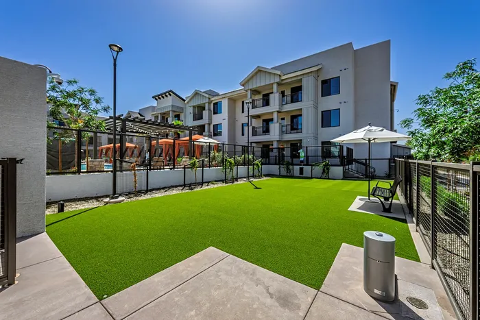1-Bedroom Senior Apartments In Phoenix, AZ - Liv+ Union Peak - Bark Park And Paw Spa With Vibrant Green Lawn, Stylish Outdoor Seating And Shaded Cabanas.