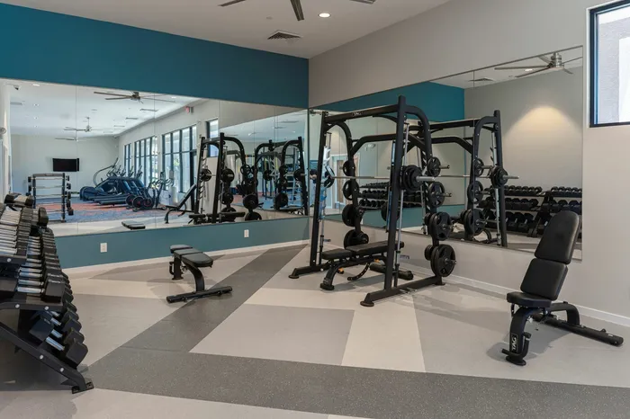 Gym Weights