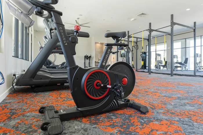 Gym Spin Bike