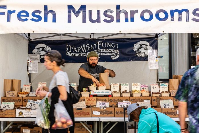 Man selling mushrooms at farmers market