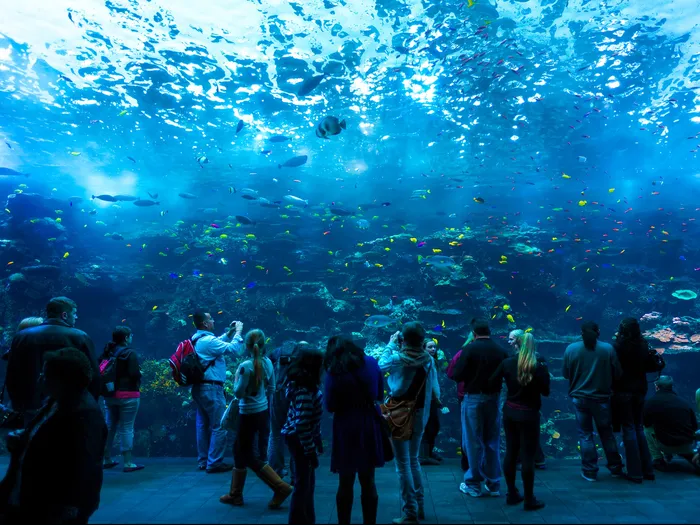 Georgia Aquarium Centennial Yards Neighborhood Downtown Atlanta