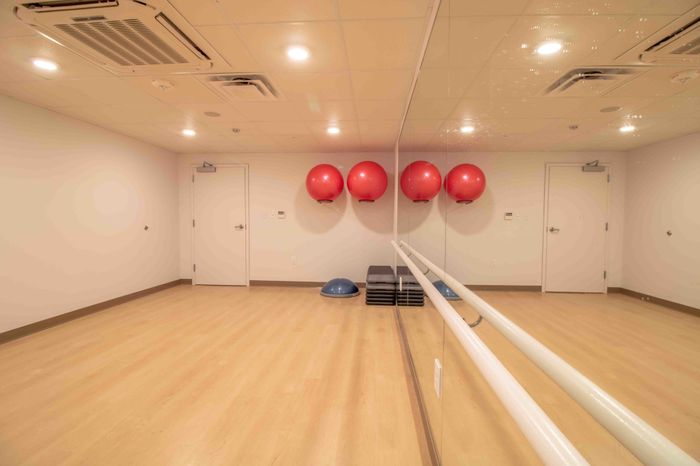 Yoga studio with yoga mats and exercise balls