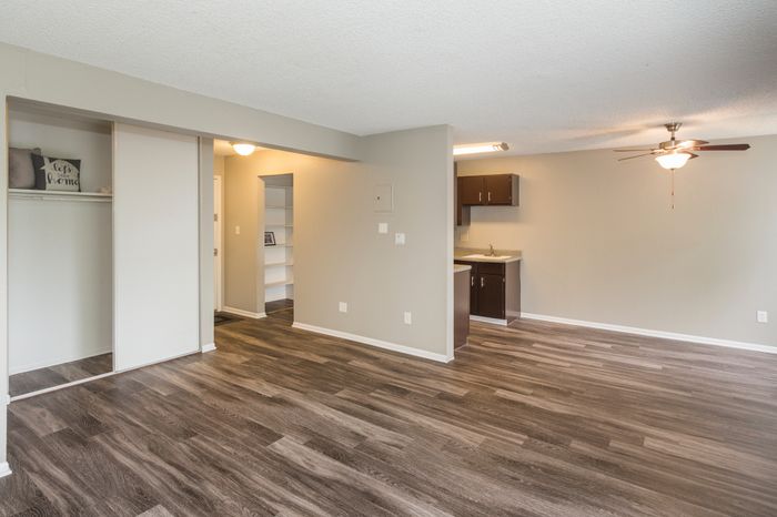 Kitchen and Living Room