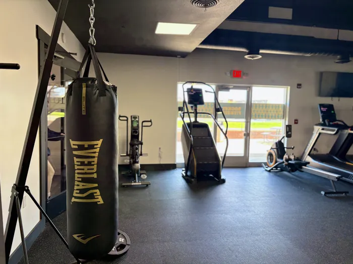 Punching Bag