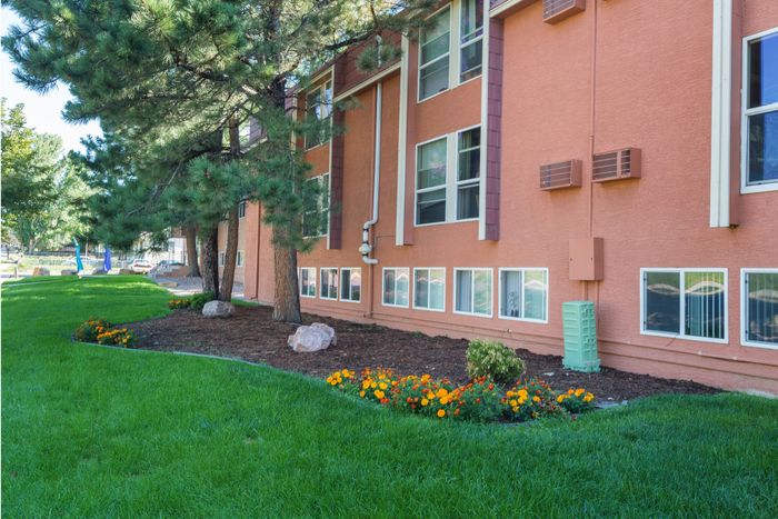 Exterior with grass, tress, and planted flowers