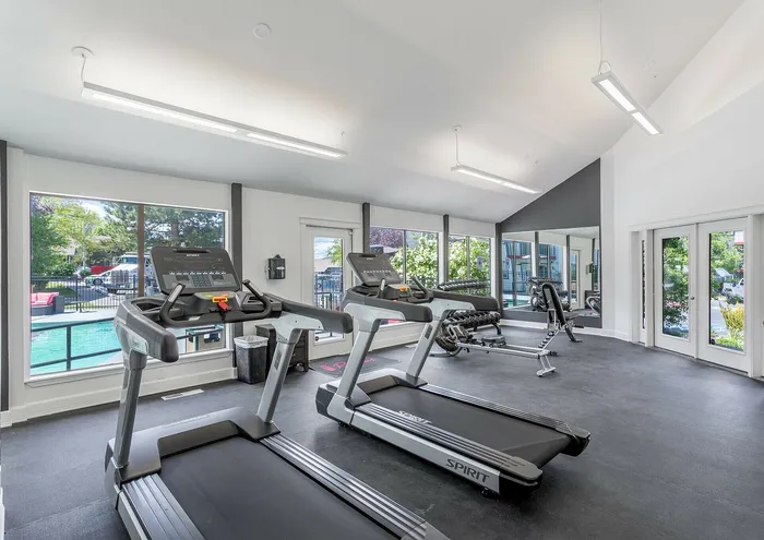 Bright and modern gym with treadmills, weights, and large windows overlooking a pool.