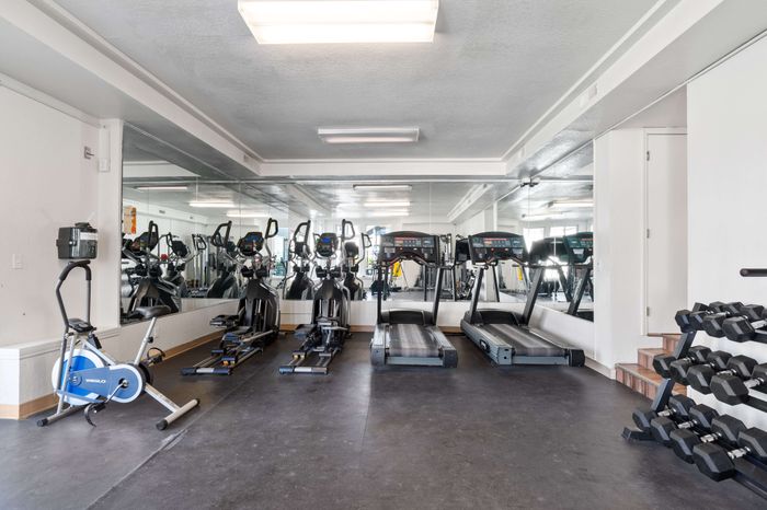 Modern fitness center with state-of-the-art treadmills, elliptical machines, and a comprehensive free weights section.