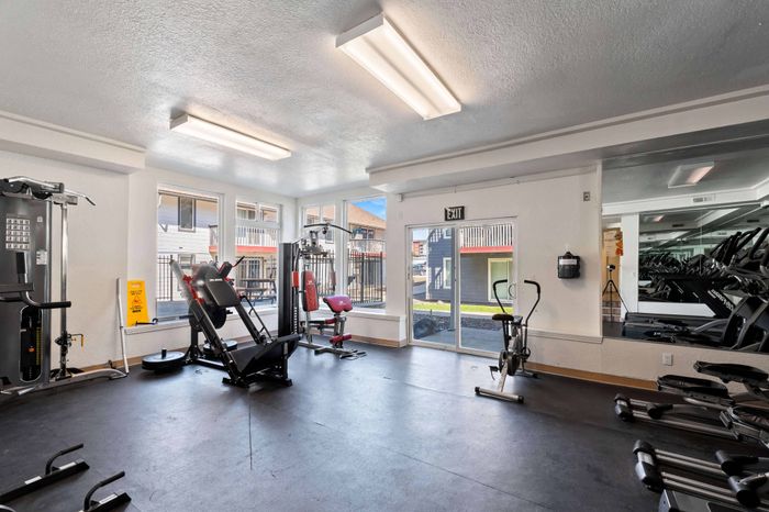 Bright and spacious apartment gym with modern fitness equipment and large windows offering natural light.