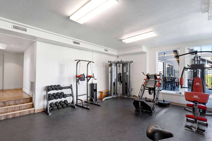 Bright and modern home gym featuring top-notch exercise equipment with ample natural light and stylish decor.