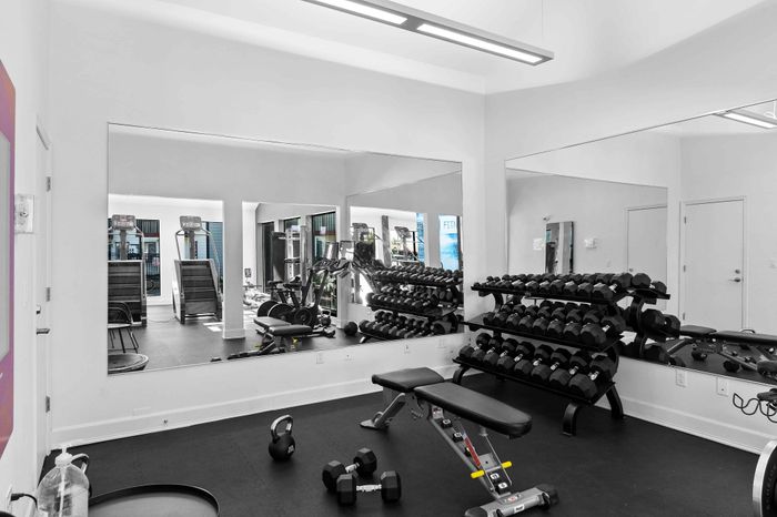 Modern apartment gym with state-of-the-art fitness equipment, mirrored walls, and ample free weights.