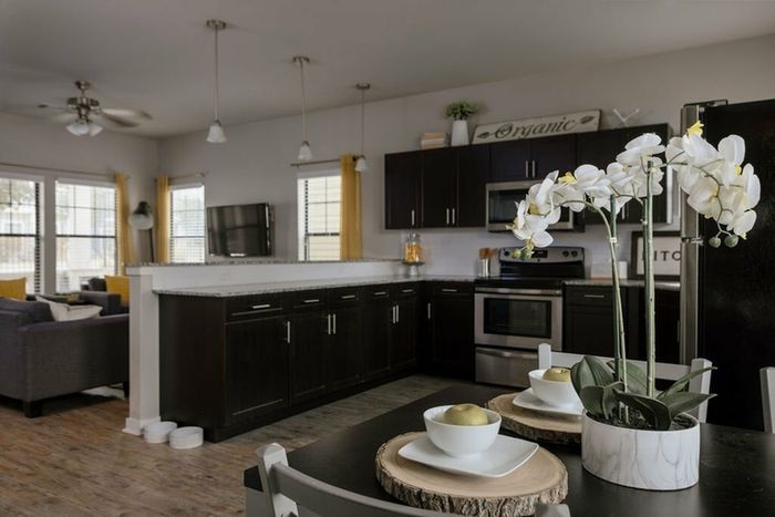 Kitchen Layout
