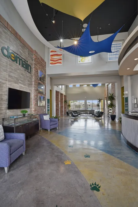 Modern lobby with vibrant decor, featuring stylish seating, floor art, and natural light pouring through large windows.