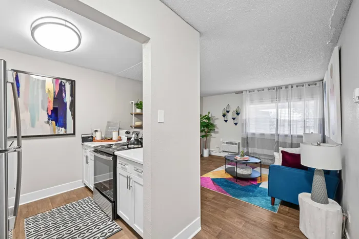 Bright and modern apartment featuring a stylish kitchen with sleek stainless steel appliances and a cozy living area accented with colorful decor and a vibrant rug.