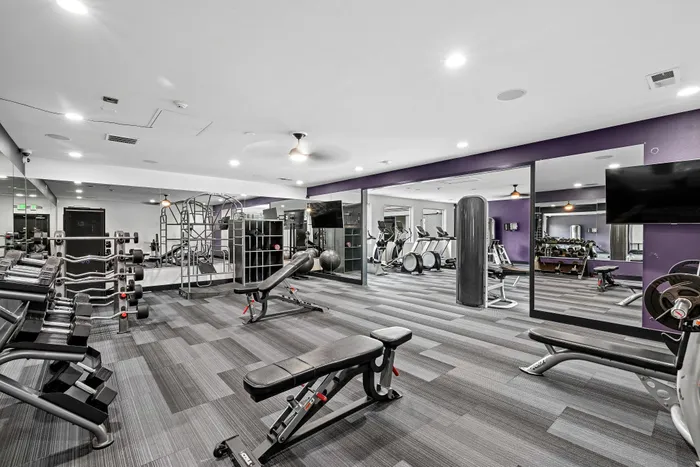 Spacious and modern apartment gym featuring state-of-the-art fitness equipment, sleek design, and vibrant purple accents.