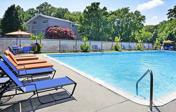 Inviting pool area surrounded by lounge chairs and lush greenery, perfect for relaxation.