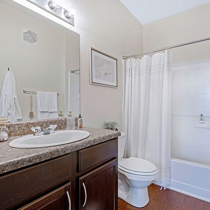 the hudson statesboro student housing model unit bathroom