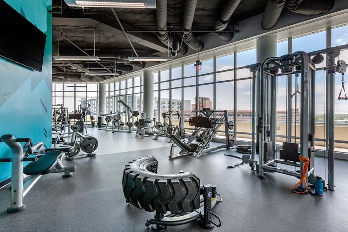 fitness center with weights west 6th tempe