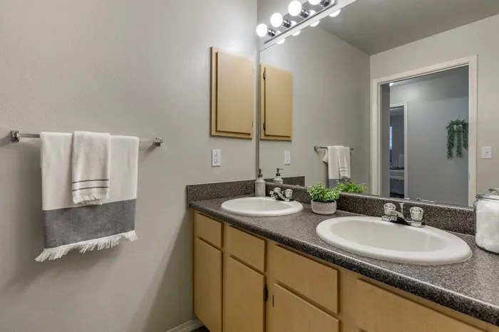 Modern bathroom with double sinks, elegant countertop, and ambient lighting, featuring stylish decor and a touch of greenery.