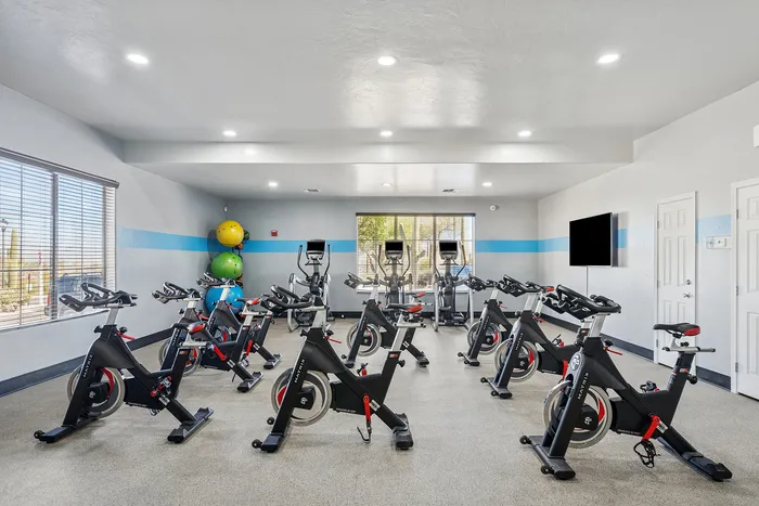 Spacious fitness room with modern spin bikes, elliptical machines, and vibrant exercise balls, complemented by bright natural light and a sleek, contemporary design.