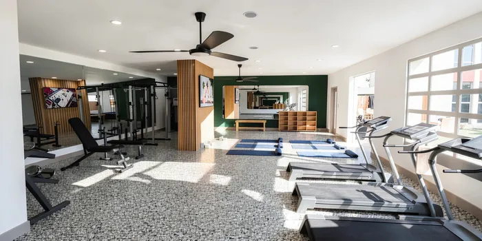 Modern fitness center with state-of-the-art equipment, including treadmills, weights, and yoga mats, bathed in natural light.