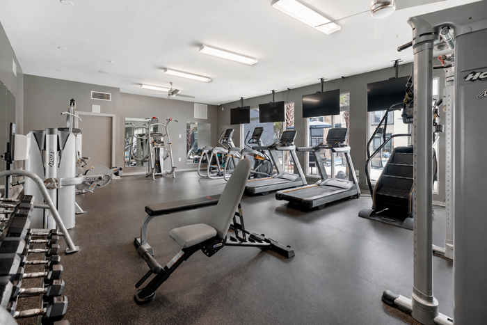 Modern fitness center with state-of-the-art equipment, including treadmills, free weights, and exercise machines, in a spacious and well-lit environment.