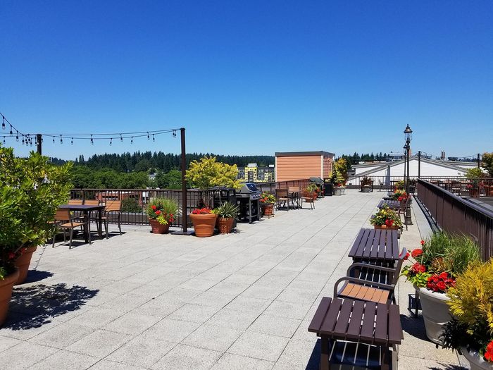 Rooftop Patio Equipped with Two BBQ Grills