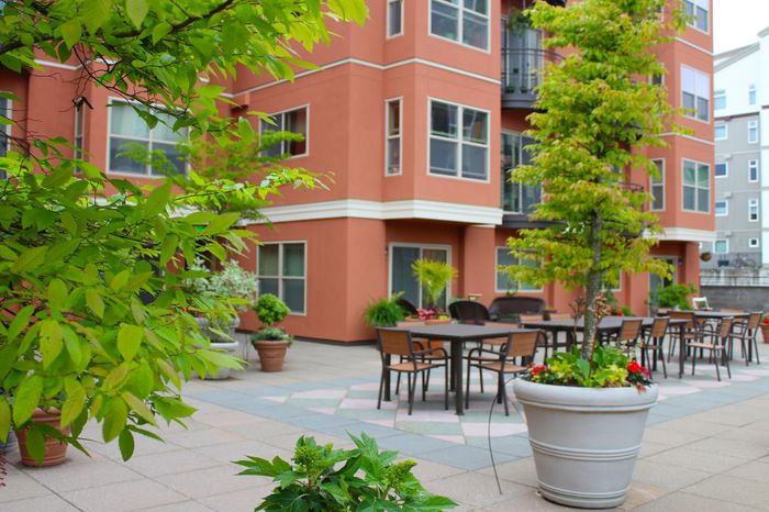 Primary Courtyard