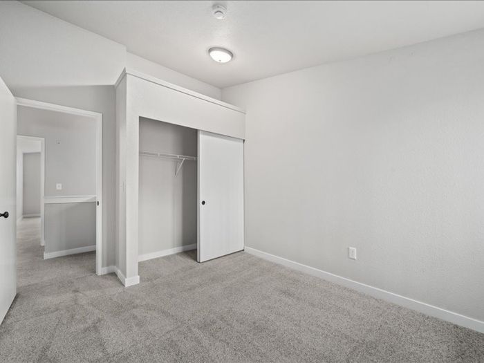 Bright and airy bedroom with plush carpeting, showcasing a spacious closet and modern lighting.